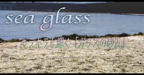 狙いインスタにあらず長崎に七色に輝く砂浜が出現